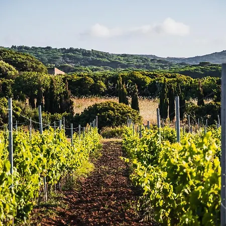 Bed and breakfast Funtana'e Mari Gonnesa