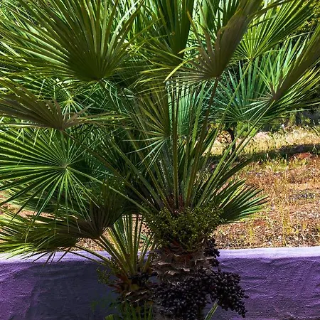 Bed & Breakfast Funtana'e Mari Gonnesa