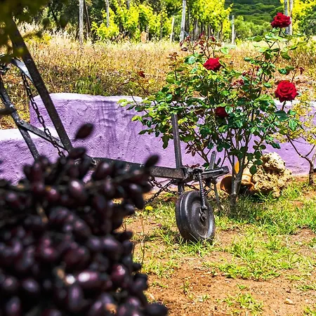 Funtana'e Mari Bed & Breakfast