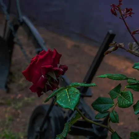 Bed & Breakfast Funtana'e Mari 3*